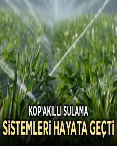 home_store_product1